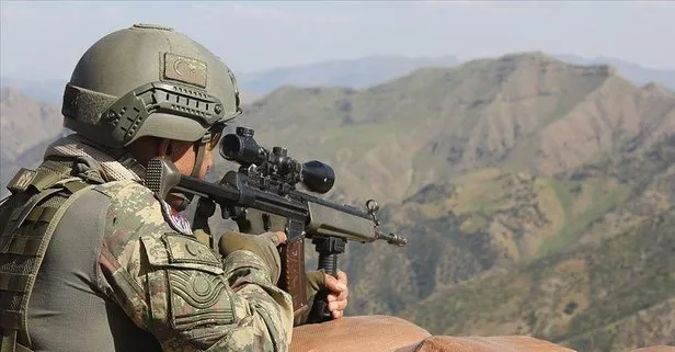 SON DAKİKA: Şırnak’ta 1 PKK’lı terörist teslim oldu