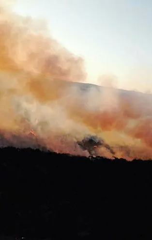 Eskişehir'de orman yangını