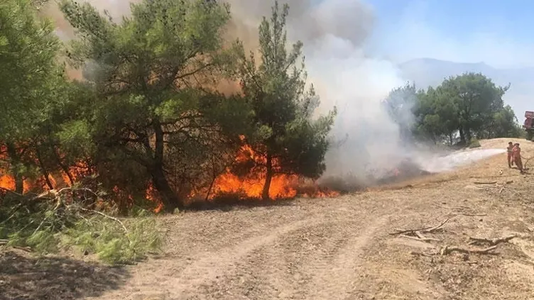 Adana'da orman yangını