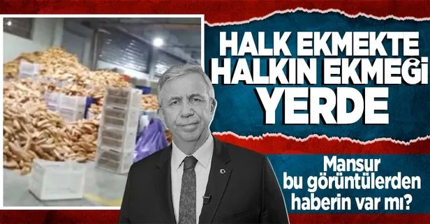 Ankara Büyükşehir Belediyesinde Halk Ekmek’te skandal görüntüler! Yerde ekmek yığınları, maskesiz işçiler...