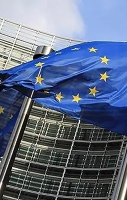 Vatandaşlardan AB'ye 'HDP' tepkisi