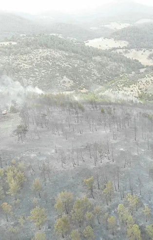 Çanakkale'de 2,5 hektar ormanlık alan yandı