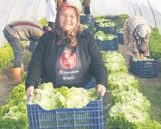 Akıllı köy model oluyor
