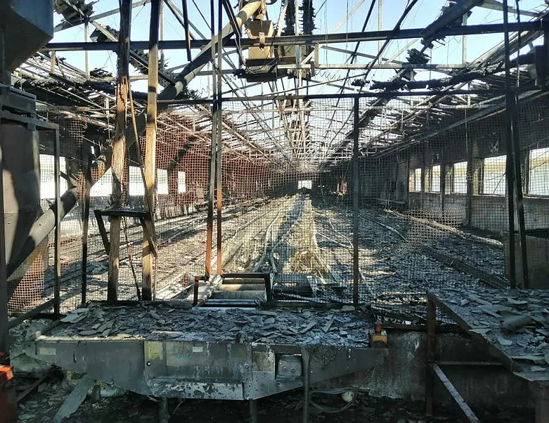 Bursa’da çiftlikte yangın: 4 bin tavuk telef oldu