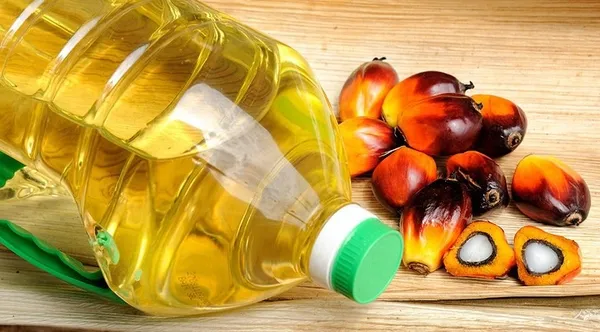 Dünya Sağlık Örgütü sigara kadar zararlı gıdalara karşı uyardı-3
