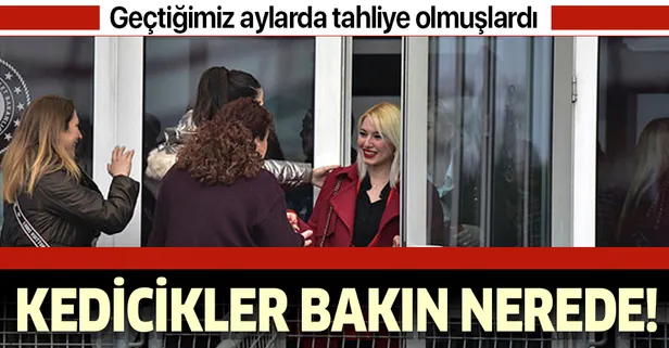 Adnan Oktar davasında tahliye olan kedicikler Silivri'de!