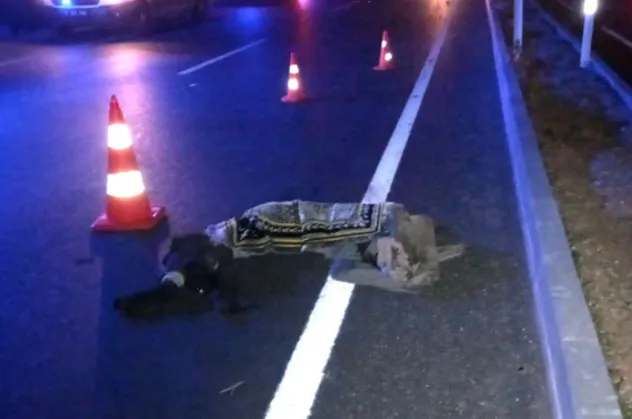 Otomobilin çarptığı dede ve torunu öldü
