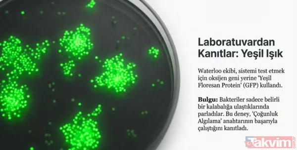 Kansere karşı mikro savaş: Bilim insanları tümörleri içten yiyen bakteri geliştirdi - 12