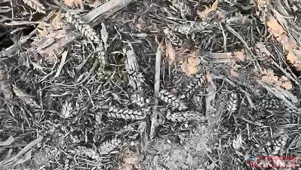 Her şey kıvılcımla başladı! Diyarbakır’daki yangın kamerada - 7