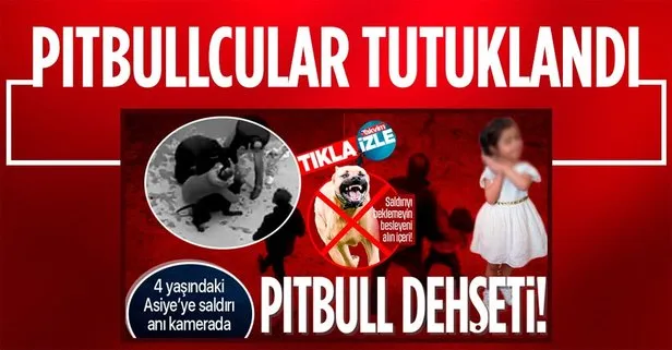 Gaziantep’te Pitbull dehşeti! 4 yaşındaki Asiye Ateş ağır yaralandı... 3 tutuklama