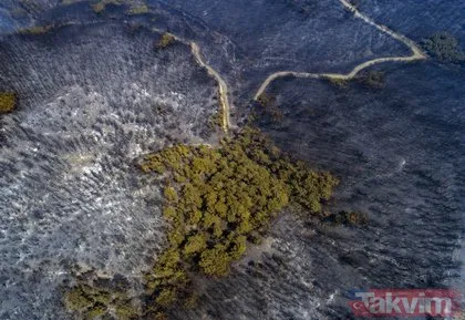 İzmir’de yanan ormanlık alanlar havadan görüntülendi