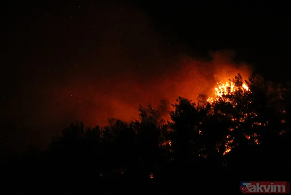 Antalya Manavgat'ta yangın felaketi! Acı haber geldi: 3 kişi hayatını kaybetti - 37