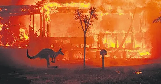 Avustralya’daki yangınlarla ilgili bilanço ağlattı