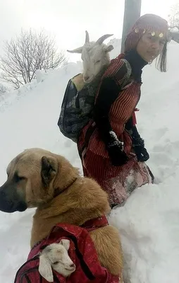 O fotoğrafın sırrı ortaya çıktı