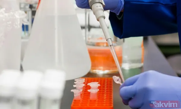 Beyindeki unutkanlık kilidi açıldı! Bilim açıkladı: Meğer hafızayı geri getiren şey... - 3