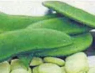 Fasülyenin Faydaları