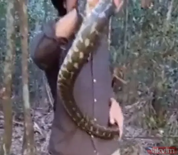Sadece yardım etmek istemişti! Eline aldığı dev piton talihsiz adamın atardamarını parçaladı: İşte o anlar - 8