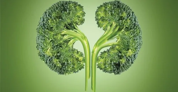 Böbreklere brokoli