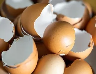 Yumurta kabuğu nasıl yenir? İşte tarifi