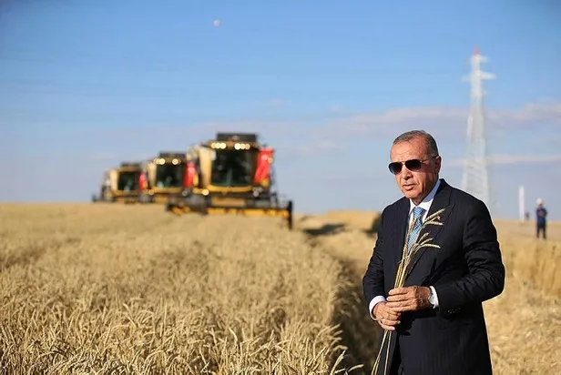Başkan Erdoğan talimatı verdi! Tarımda yerli üretim hamlesi: Çiftçiden gelir garantili alım-2