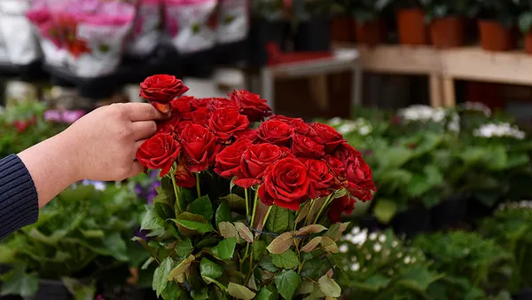 14-subatta-acik-olan-yerler-cicekciler-kuyumcular-acik-mi-14-subatta-cicek-siparisi-verilir-mi-1613211120553.jpg 14 Şubat'ta açık olan yerler! Çiçekçiler, kuyumcular açık mı? 14 Şubat'ta çiçek siparişi verilir mi?-2