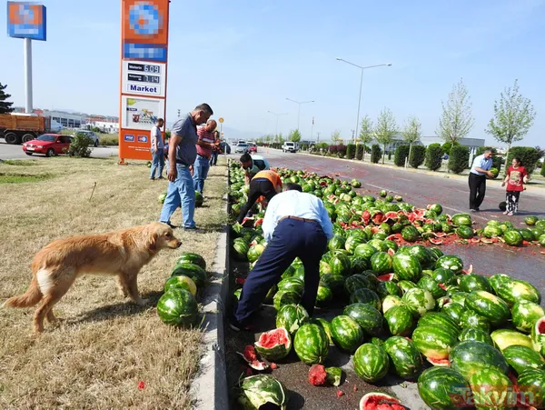 Çorum'da TIR devrildi, yol karpuz tarlasına döndü - 7
