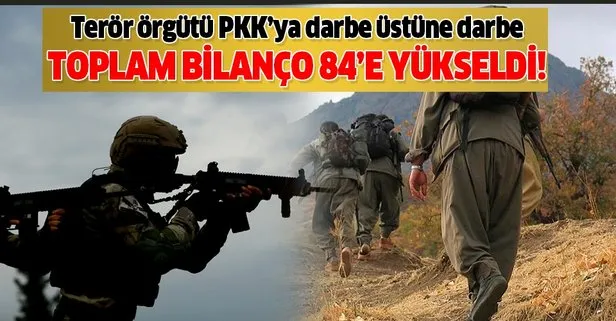 Son dakika: Terör örgütü PKK’da çözülme devam ediyor: 2 terörist daha teslim oldu