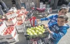 Fırat Kalkanı yaşam kalkanı oldu-2