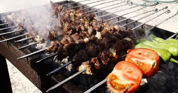 Piknik yapmak bugün yasak mı? İstanbul, Ankara, İzmir’de ormanlık alanlarda piknik, mangal yasak mı?-3
