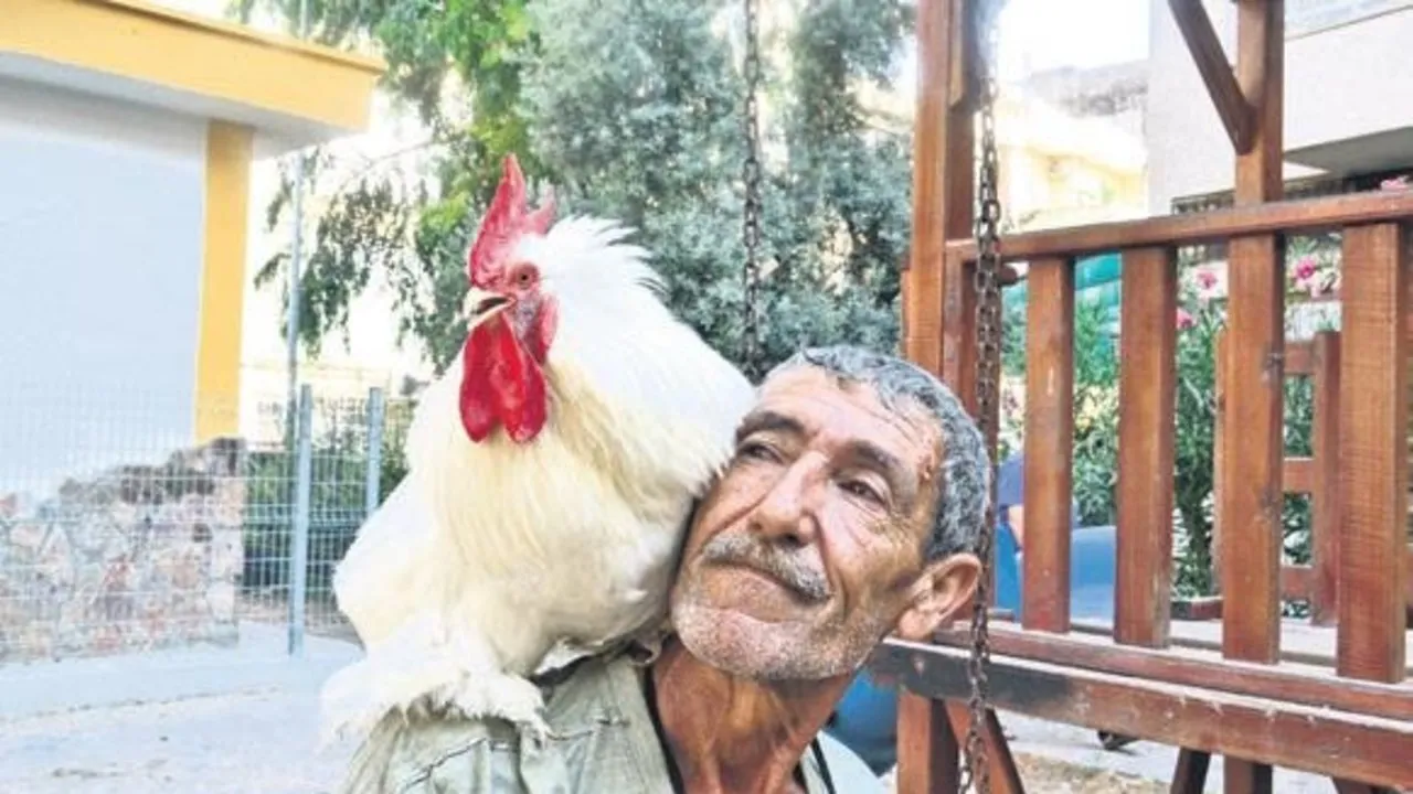 Can dostu Beşbeş