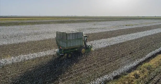 Üreticiye prim morali! Yeni hedef 1 milyon ton