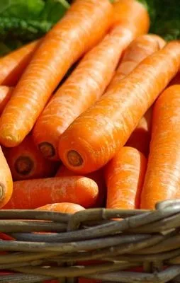 Havuç dolusu mutluluk