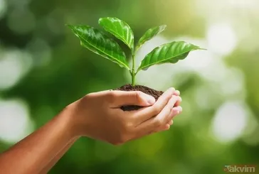 Geleceğe Nefes fidan bağışı yapma ekranı 2025: 11 Kasım Milli Ağaçlandırma Günü kapsamında fidan bağışı nasıl yapılır, ücretli mi?