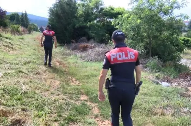 Pendik'te ormanlık alanın yakınlarındaki arazide 17 köpek ölüsü buldu