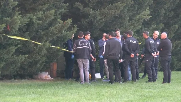 İstanbul'un göbeğinde şoke eden manzara! Ağaca asılı halde bulundu...-3