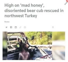 kilolarca-bal-yiyip-fenalasan-balkiz-fenomen-oldu-abd-ingiltere-ve-yunan-basininin-mansetlerine-yerlesti-1660347297444.jpeg Kilolarca bal yiyip fenalaşan Balkız fenomen oldu! ABD, İngiltere ve Yunan basınının manşetlerine yerleşti-3