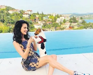 Alice Harikalar Diyarında