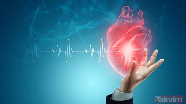 Bu Durum, Yaşlı Beyinlerin Yemeğin Olumsuz Etkilerine Karşı Daha Savunmasız Olduğunu Gösteriyor.