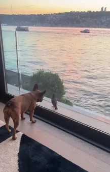 Nazlı Sabancı'nın akıllara zarar ultra lüks evi sosyal medyanın dilinde! Boğaz manzaralı evin her bir ayrıntısı servet değerinde - 8