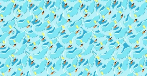 Bu kuğu testi viral oldu! 6 saniyede gören henüz yok