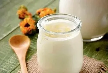 Bağışıklık için kefir için