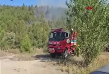 Tokat Erbaa'da orman yangını!