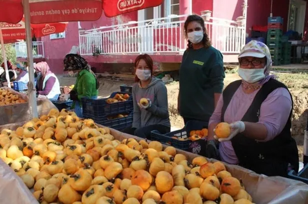 para-etmiyor-diye-basladi-3-yildir-buyuk-islere-imzasini-atiyor-toplam-35-liradan-1607630591351.jpg Para etmiyor diye başladı! 3 yıldır büyük işlere imzasını atıyor! Toplam 35 liradan...-2