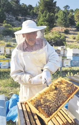 Kovandan çıkmadan satıldı