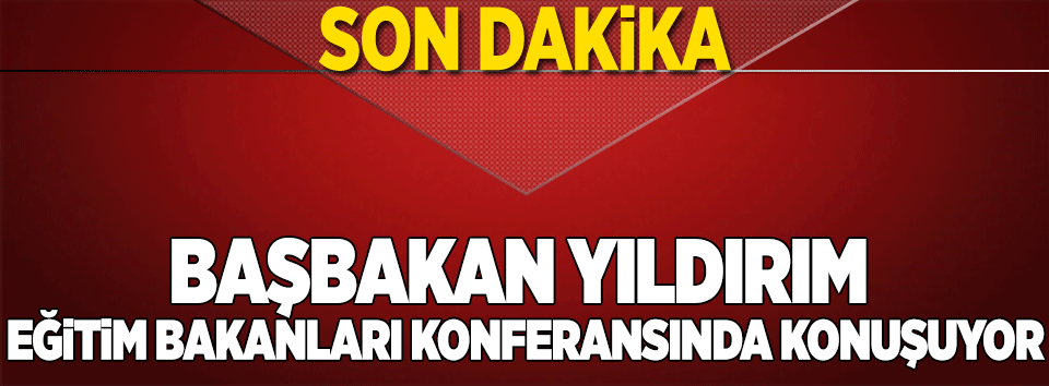 Başbakan Yıldırım'dan önemli açıklamalar
