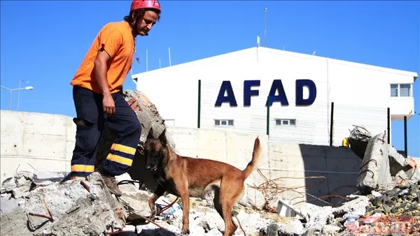 Sonuçlar Henüz Açıklanmadı Afad, Personel Alımı Sonuçlarının Açıklanacağı Tarihe İlişkin Henüz Resmi Bir Duyuru Yapmadı. Kurumun Geçmiş Dönem Alımlarında...