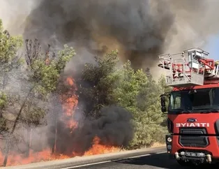 Şanlıurfa’da korkutan yangın