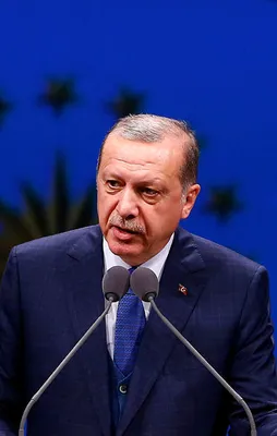 Cumhurbaşkanı Erdoğan: Bize düşen...