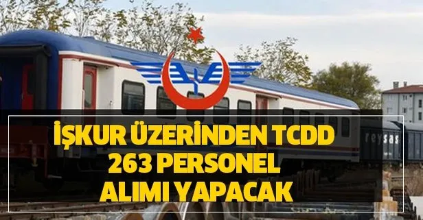 TCDD kadro dağılımı ve pozisyonlar - İŞKUR ve DPB üzerinden TCDD 263 personel alımı başvuru şartları nedir?