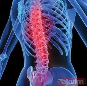 İkinci Bölüm İse Mesajları Taşır. Mesajlar, 100 Milyar Sinir Hücresiyle Fiziksel Ve Zihinsel Aktiviteleri Belirler.